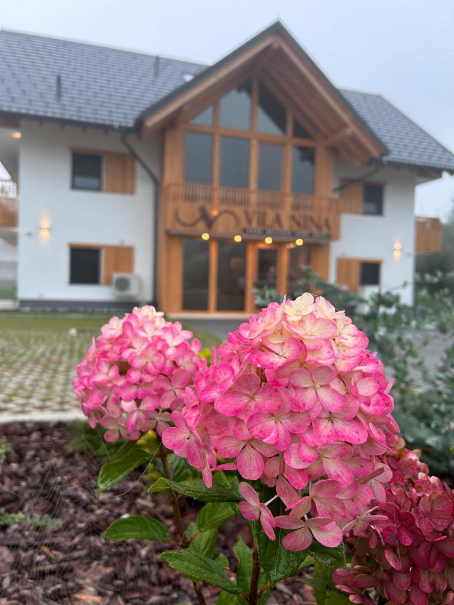 Vila Nina Бохинь Экстерьер фото