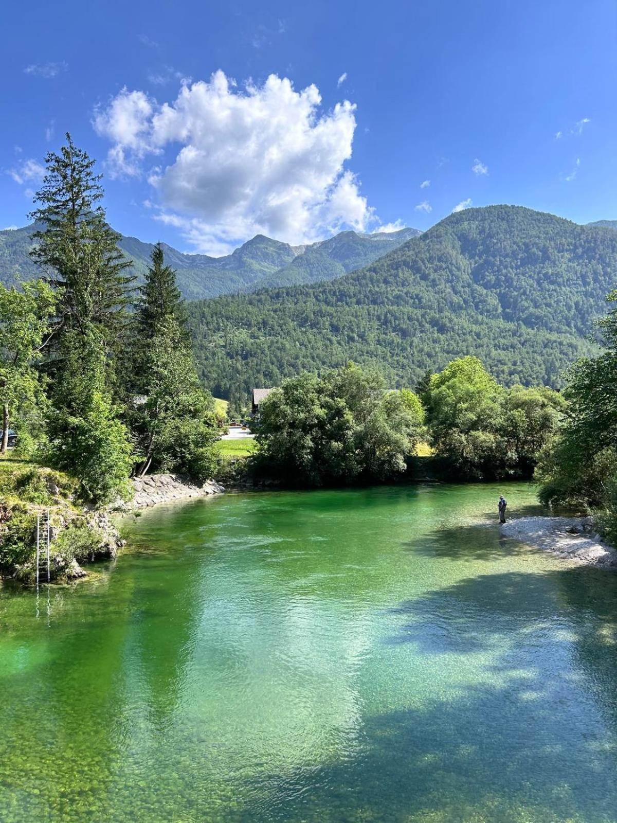 Vila Nina Бохинь Экстерьер фото